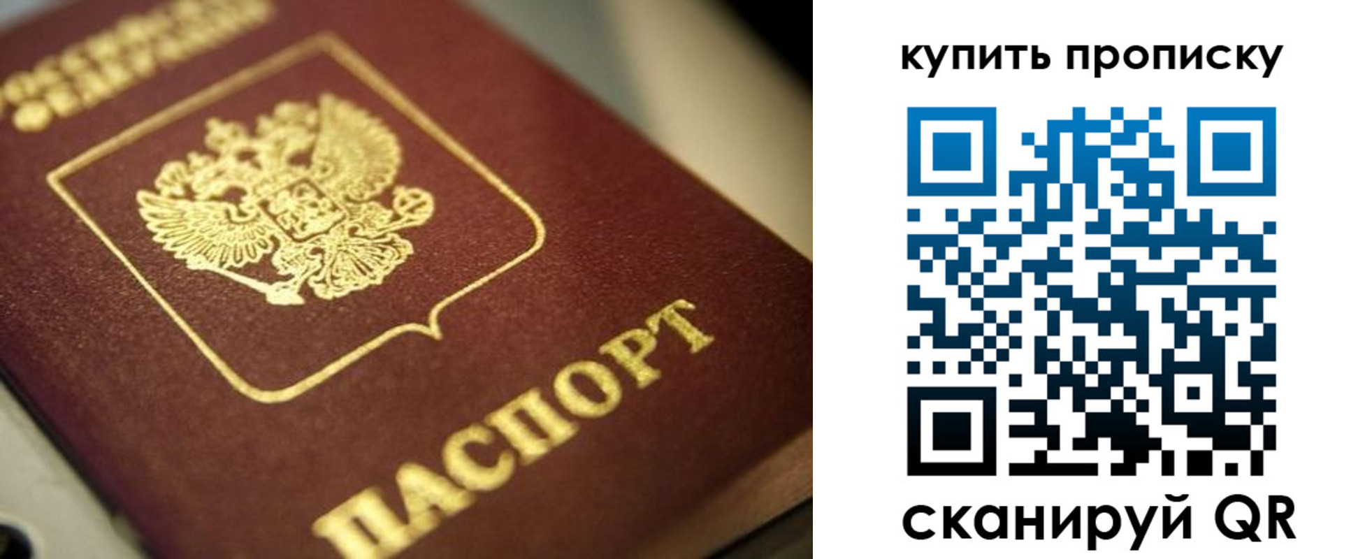 прописка поиск в Биробиджане